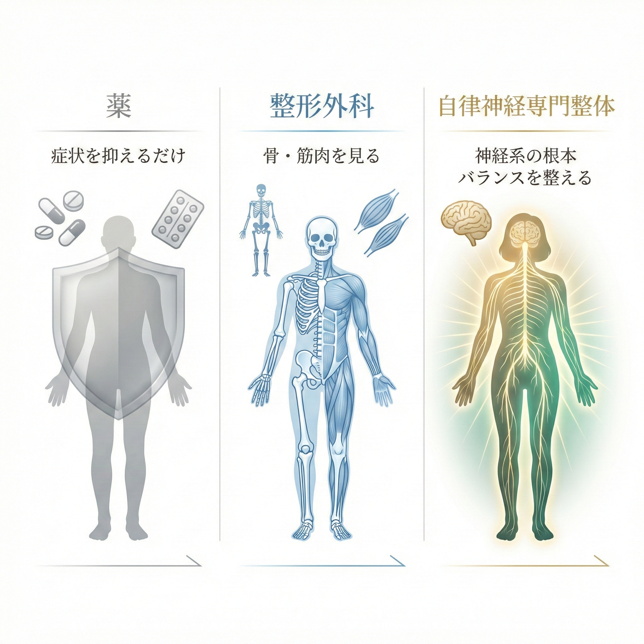 薬・整形外科・自律神経専門整体の比較図